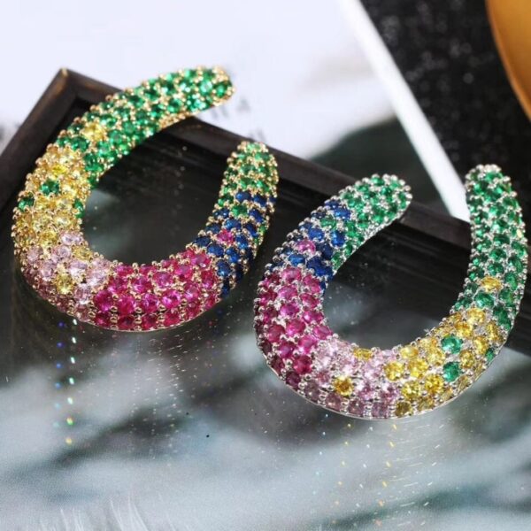 Multi Zircon Stud Earrings